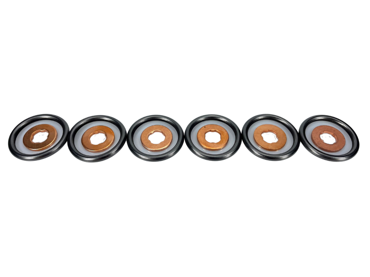 Exergy Injector Seal Kit (O-Ring & Copper Gasket) (Set of 6) | 2003-2007 Dodge Ram 5.9 Cummins